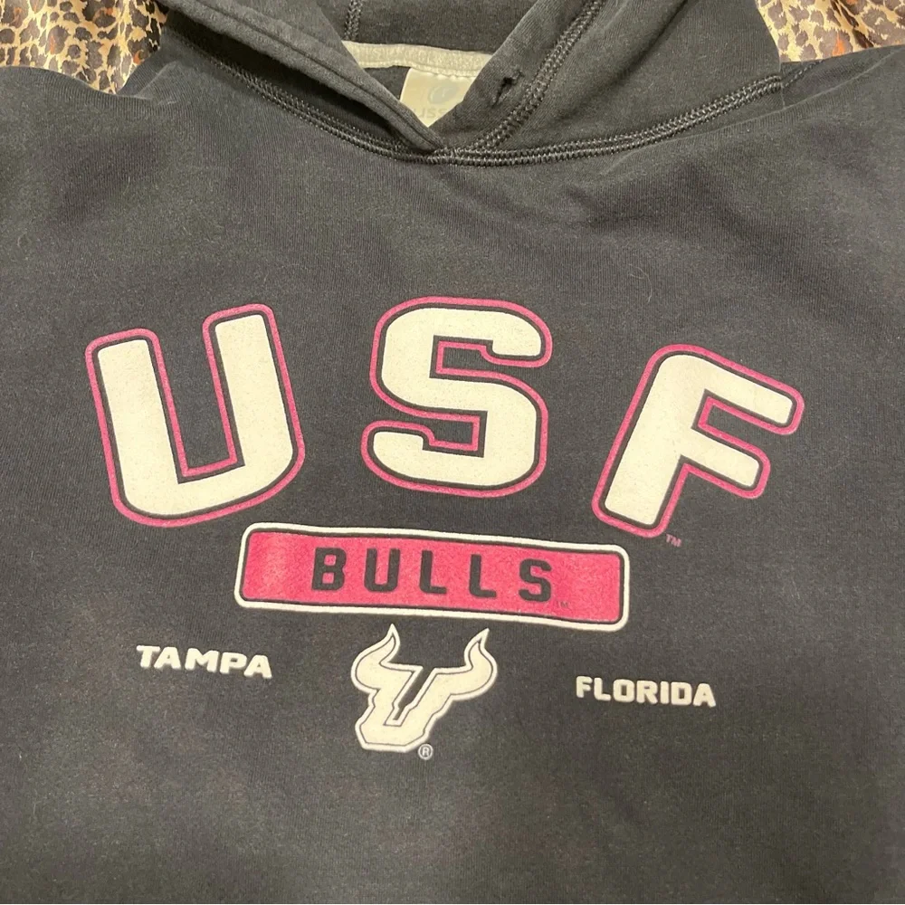 USF Hoodie Russel Athletic - Picture 9 of 14
